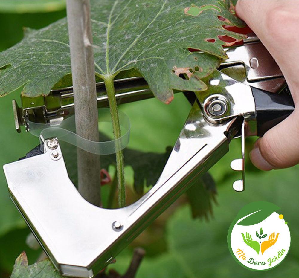 Outil jardinage attache plantes en action, fixant une plante à un tuteur pour un soutien optimal dans le jardin