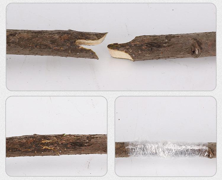 Couteau de greffage professionnel affichant les lames et un détail sur une greffe de branches pour le jardinage.