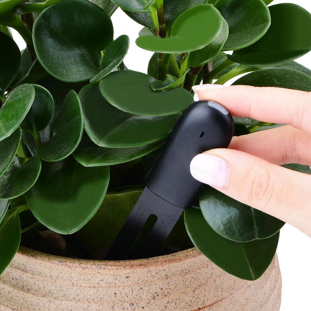 Detecteur Intelligent pour le Monitoring Plantes Connectees