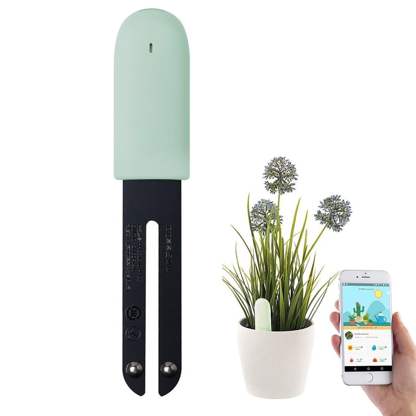 Detecteur Intelligent de Plantes pour un Monitoring Efficace