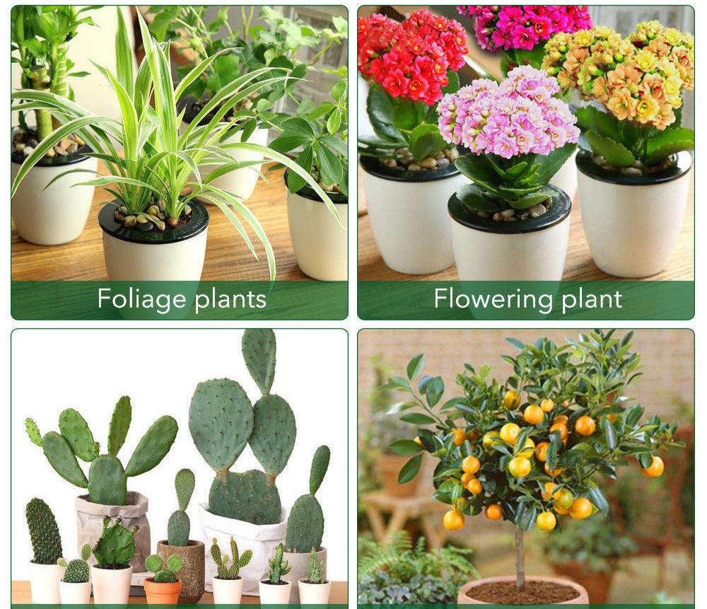 Detecteur Intelligent de Plantes pour un Monitoring Efficace