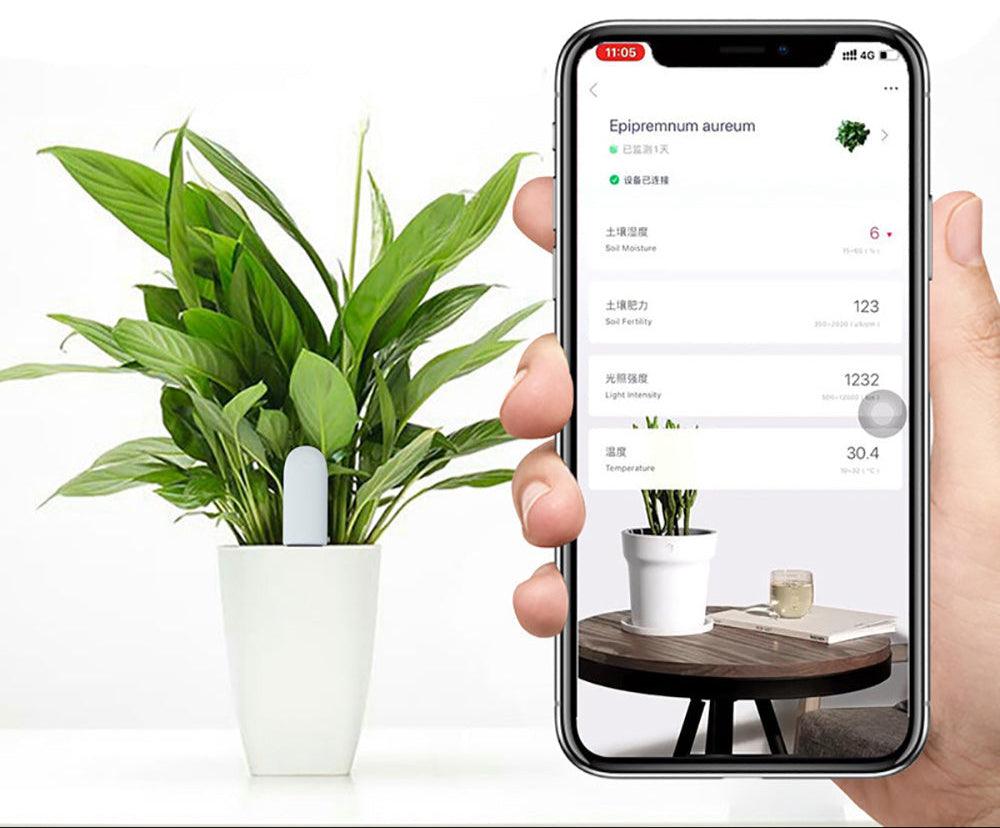 Detecteur Intelligent de Plantes pour un Monitoring Efficace