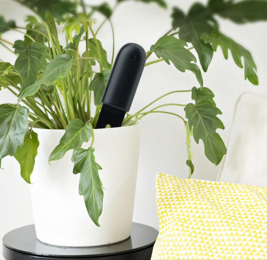 Detecteur Intelligent de Plantes pour un Monitoring Efficace -