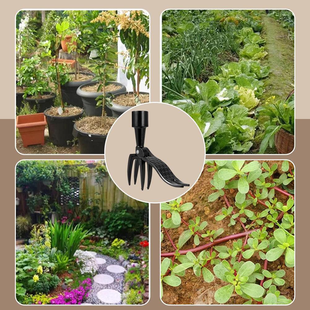 Extracteur de mauvaises herbes pratique avec des griffes robustes, idéal pour enlever les mauvaises herbes dans le jardin.