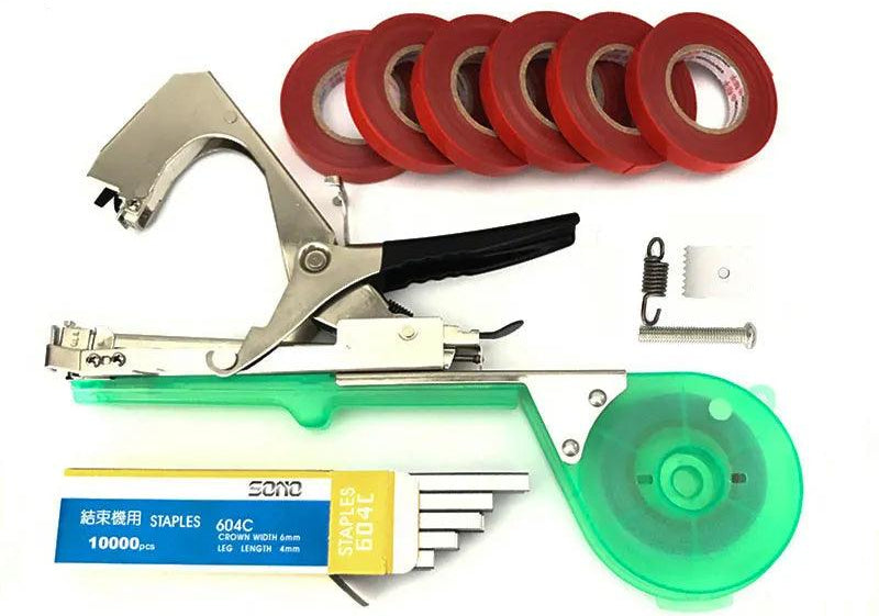 Kit attacher la tomate jardin avec agrafeuse Drtools et rouleaux de ruban rouge pour la culture des tomates