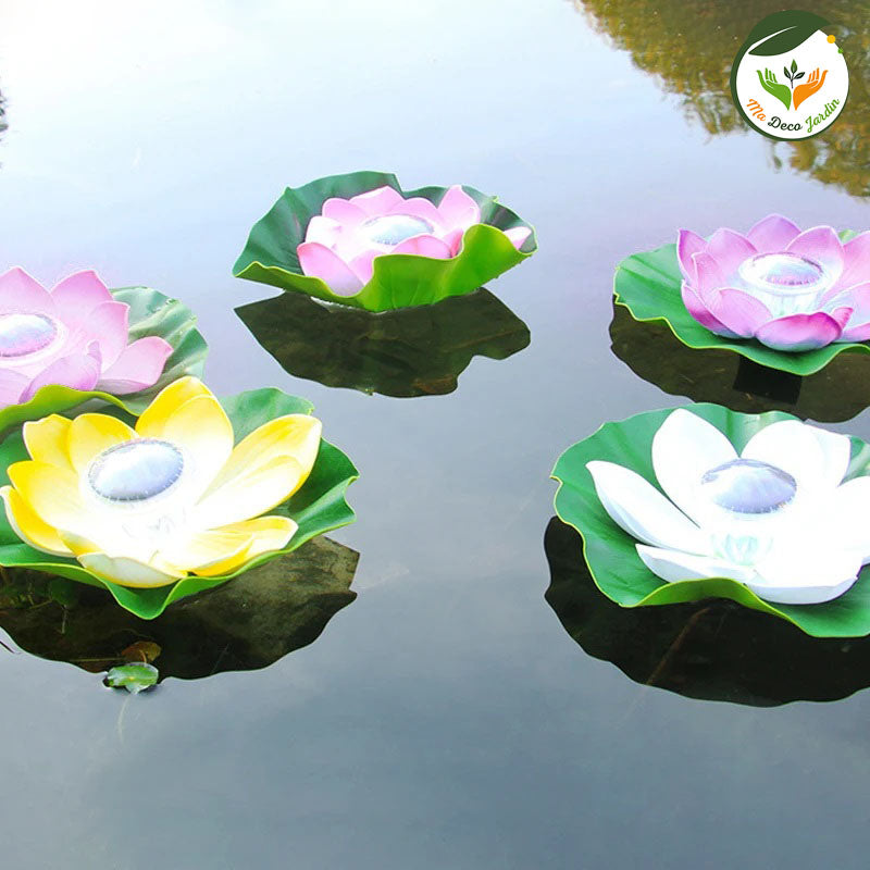 Lampes LED piscine lotus flottantes en fleurs de lotus roses, blanches et jaunes sur l'eau, apportant une ambiance chaleureuse