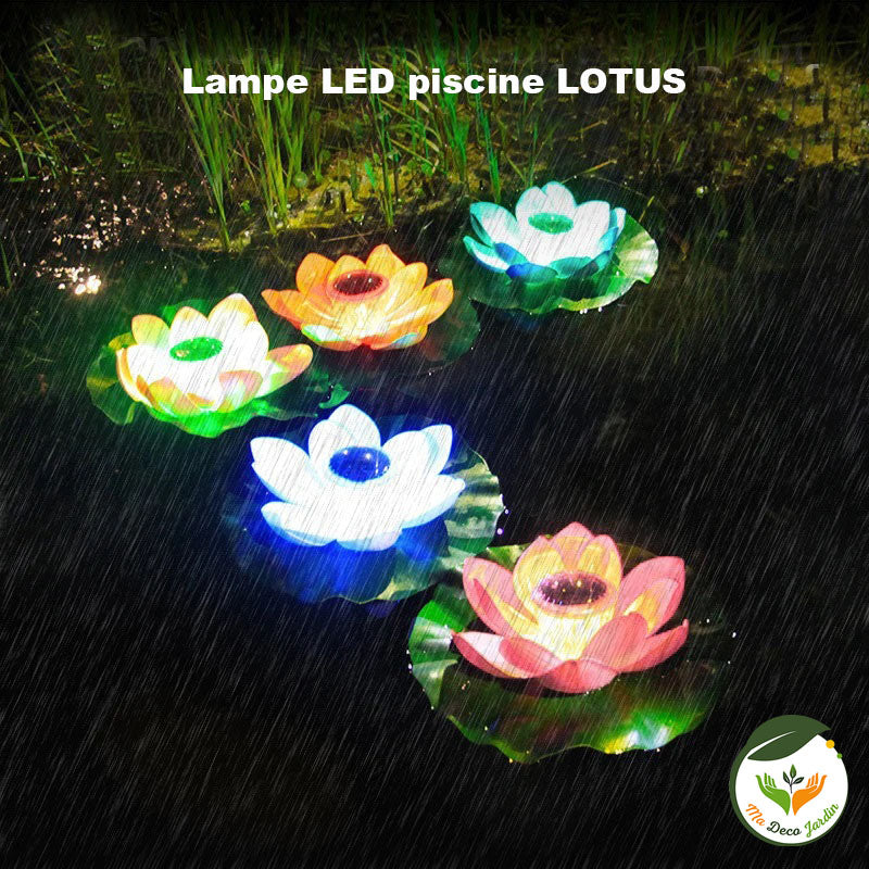 Lampes LED piscine lotus colorées flottant sur l'eau, créant une ambiance relaxante pour votre espace aquatique