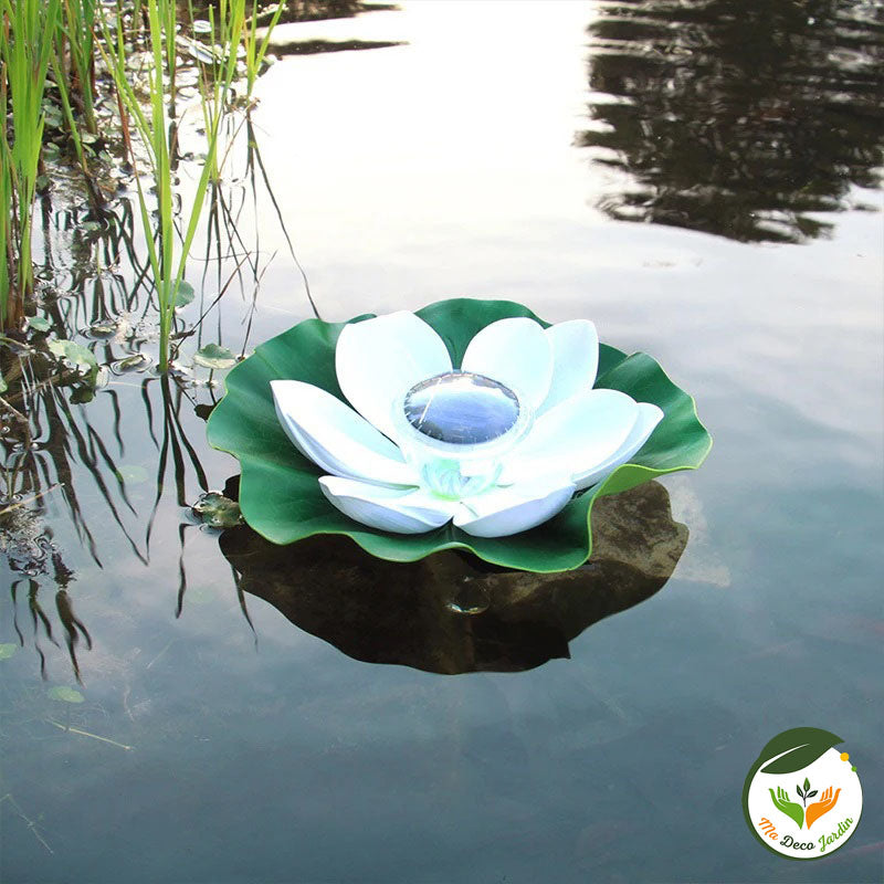 Lampe LED piscine lotus flottant sur l'eau avec pétales blancs et feuilles vertes, idéale pour éclairer votre espace aquatique.