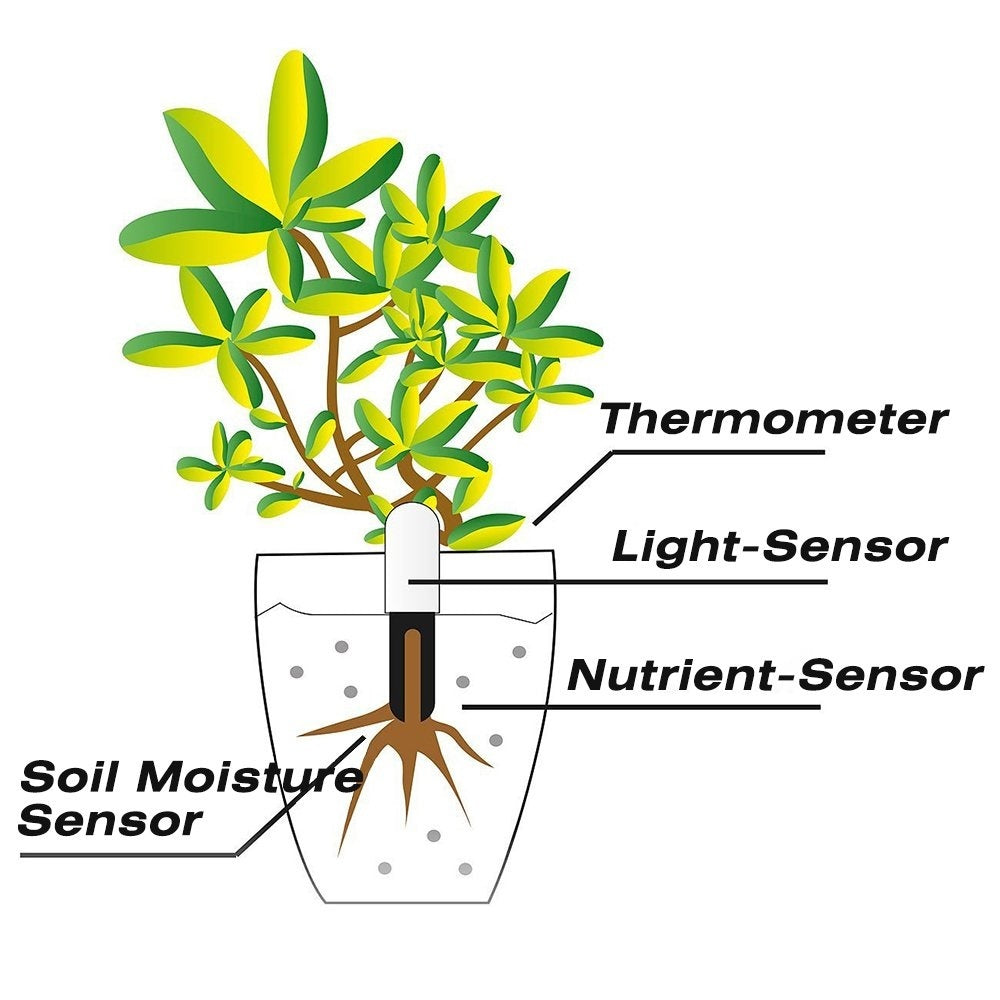 Détecteur intelligent pour soigner les plantes - Premium Moniteur plantes intelligent from Ma deco Jardin - Just $39.41! Shop now at Ma deco Jardin