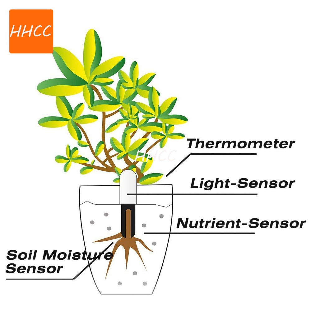 Détecteur intelligent pour soigner les plantes - Premium Moniteur plantes intelligent from Ma deco Jardin - Just $39.41! Shop now at Ma deco Jardin