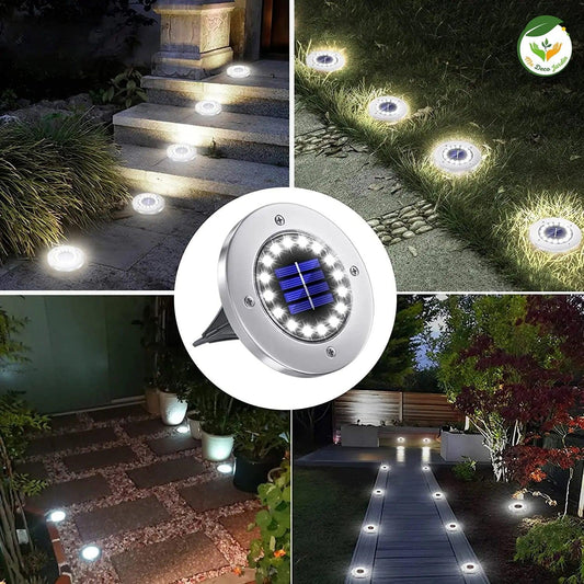 Projecteur LED solaire moderne pour éclairage extérieur, installé le long d'un chemin avec des lumières blanches éclatantes.