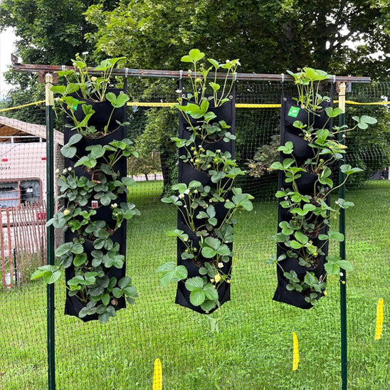 Sac de culture vertical en tissu pour jardinage polyvalent - Premium  from Madeco Jardin - Just $10.42! Shop now at Madeco Jardin