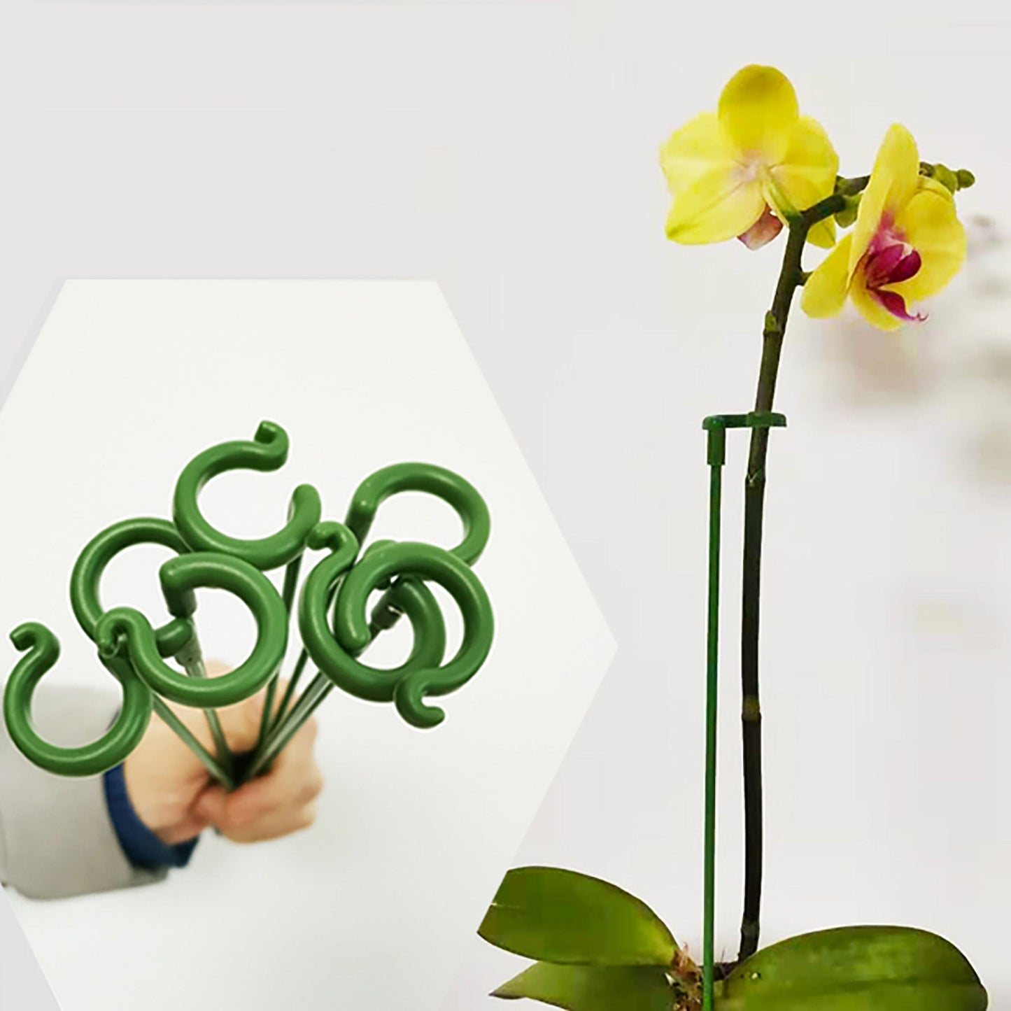 Supports de plantes - Premium Support Plante from Ma deco Jardin - Shop now at Ma deco Jardin
