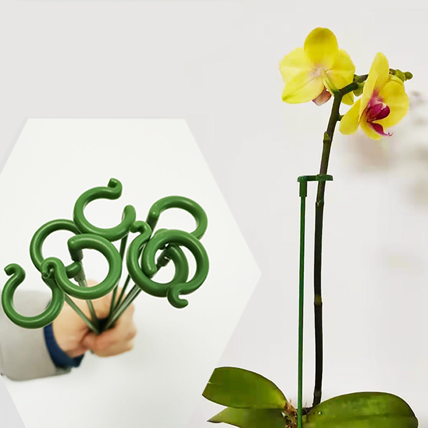 Supports de plantes en plastique verts, parfaits pour soutenir les tiges des orchidées et embellir votre jardin