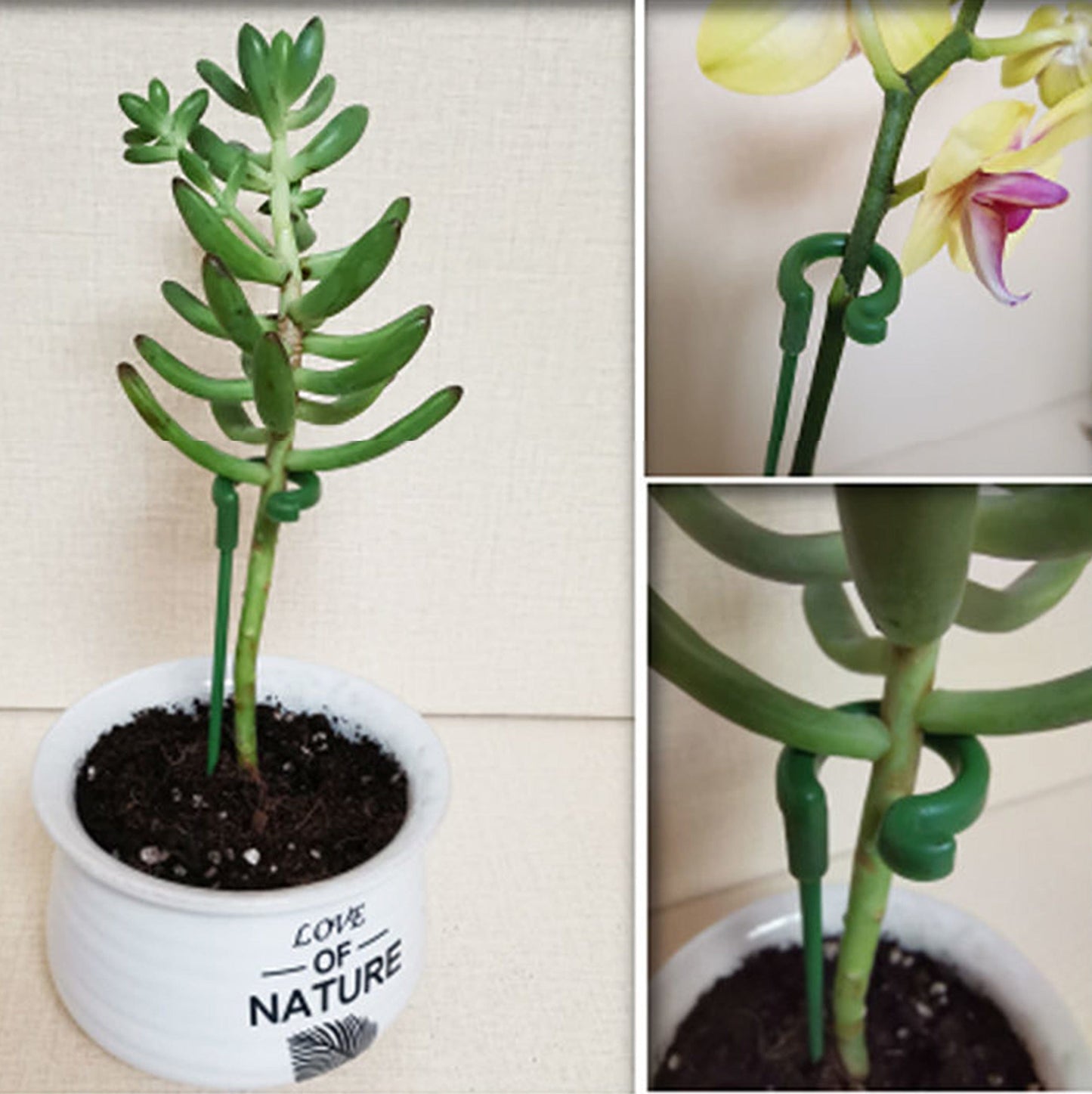 Supports de plantes - Premium Support Plante from Ma deco Jardin - Just $24.05! Shop now at Ma deco Jardin