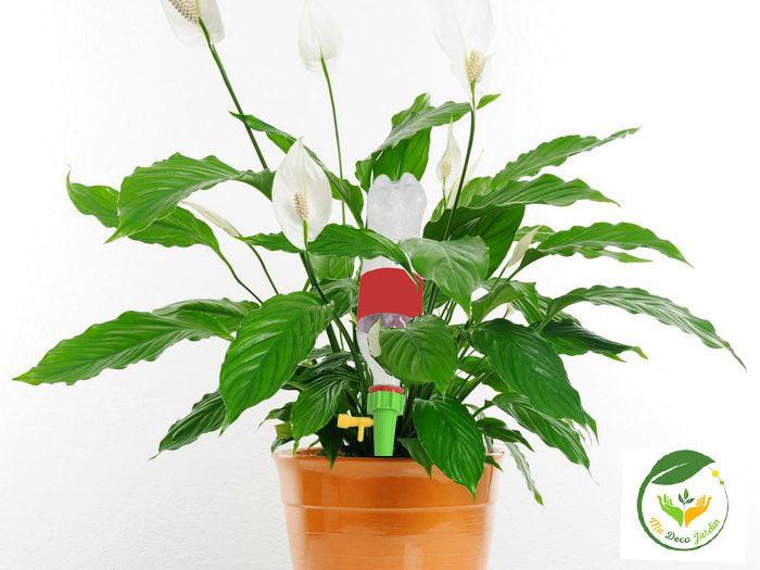 Pointes d'Arrosage Goutte a Goutte pour Irrigation pour Plantes en Pot - Premium Outil jardin from Ma-déco-Jardin - Just $11.95! Shop now at Madeco Jardin