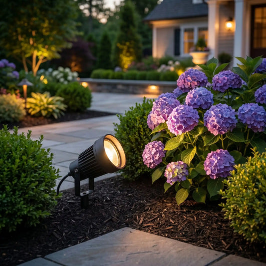 Spots d'accent LED en uplighting sur arbuste ornemental dans un jardin la nuit – mise en valeur massifs extérieur