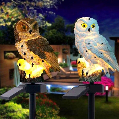 Décoration jardin