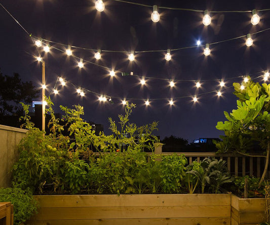 Guirlande guinguette USB éclairant un jardin avec des plantes, créant une ambiance chaleureuse et festive le soir