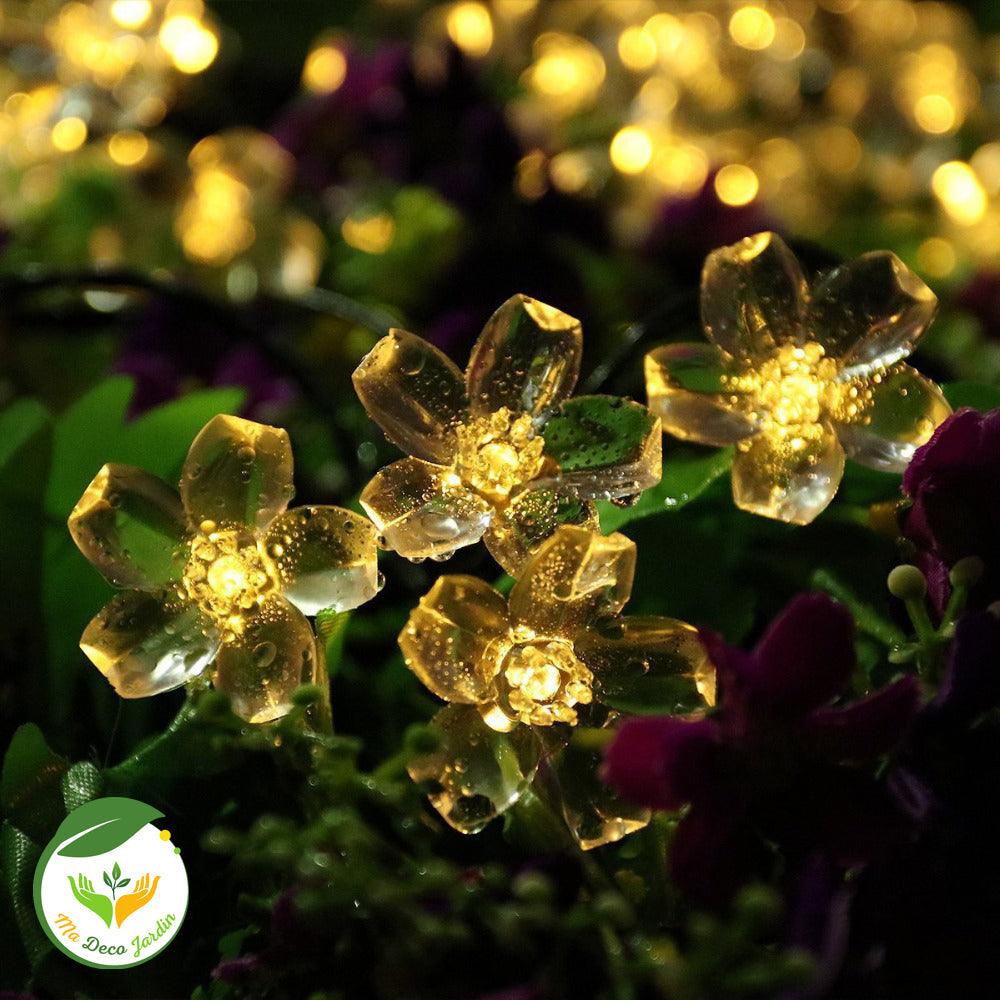 Guirlande Lumineuse Jardin LED avec Etoiles Eclatantes