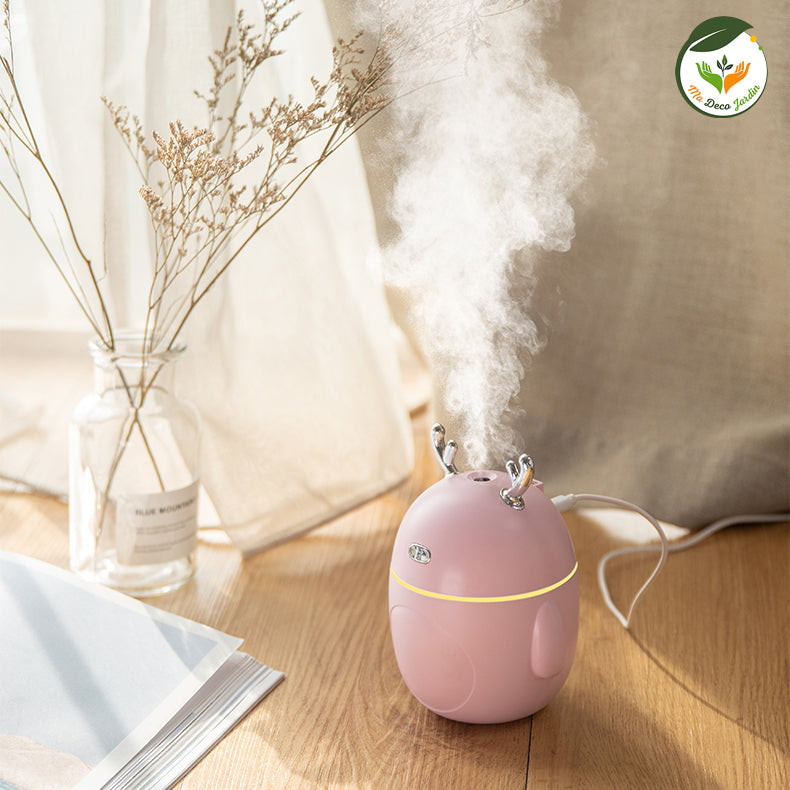 Humidificateur-air-rose_brume