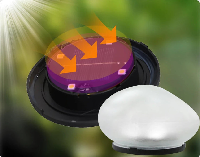Lumière Solaire LED Extérieure