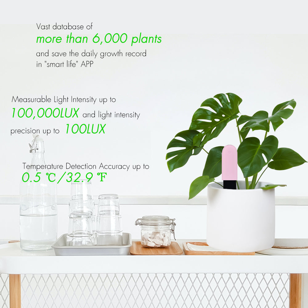Détecteur intelligent pour soigner les plantes - Premium Moniteur plantes intelligent from Ma deco Jardin - Just $39.41! Shop now at Ma deco Jardin