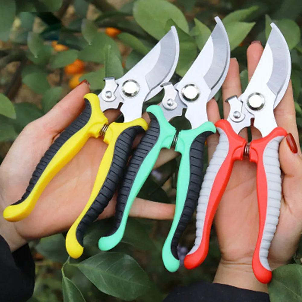 Secateurs à main pour taille de plantes avec manches ergonomiques en rouge, jaune et vert, idéaux pour le jardinage.