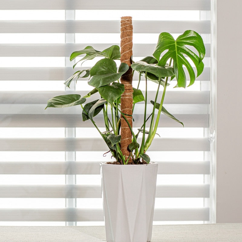 Support plante - Premium aide jardin from Ma deco Jardin - Just $19.90! Shop now at Ma deco Jardin