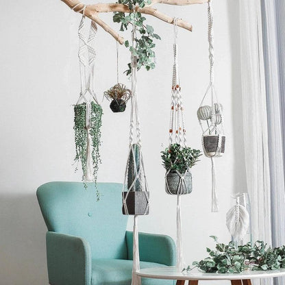 Support pot de fleur suspendu en macramé, avec diverses plantes décoratives suspendues, créant une ambiance chaleureuse et naturelle