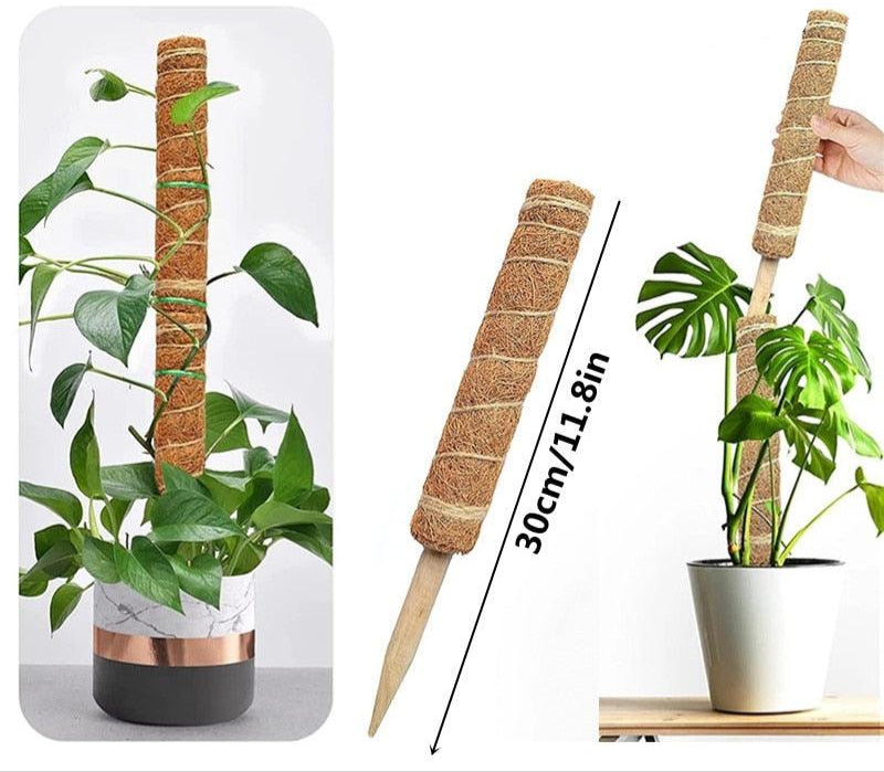 Tuteur en coco pour plantes extensible de 30 cm, idéal pour soutenir les plantes grimpantes dans les pots.