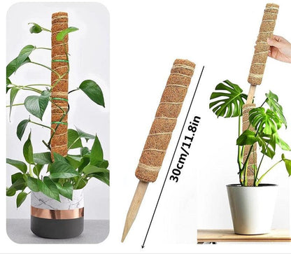 Tuteur en coco pour plantes extensible de 30 cm, idéal pour soutenir les plantes grimpantes dans les pots.
