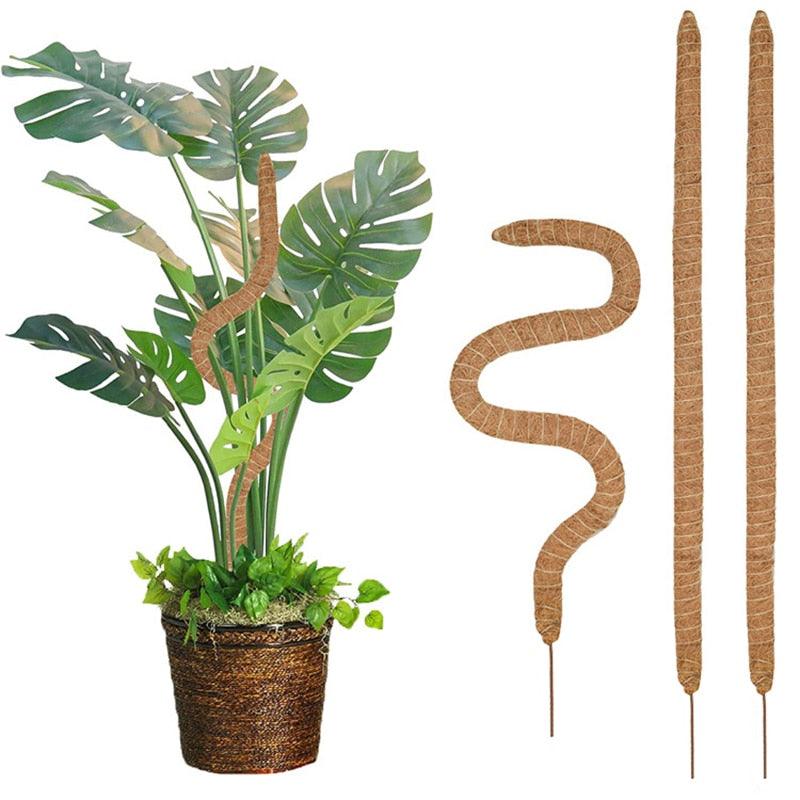 Tuteurs en coco pour plantes, accessoires de jardin en forme de serpentin, parfaits pour soutenir vos plantes tropicales