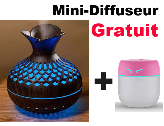 Diffuseur huiles essentielles | FLOWER™ - Premium Brumisateur from Ma deco Jardin - Just $29.81! Shop now at Madeco Jardin