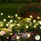 Lumière solaire luciole éclairage solaire extérieur 6 LED - Premium Lampe from Ma deco Jardin - Just $23.62! Shop now at Ma deco Jardin