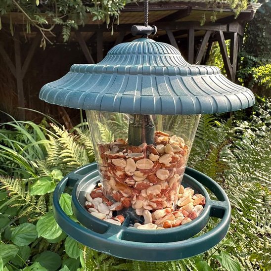 Mangeoire pour oiseaux