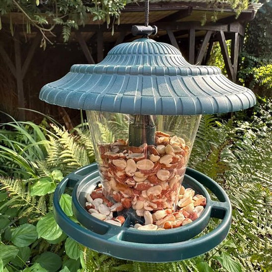 Mangeoire pour oiseaux