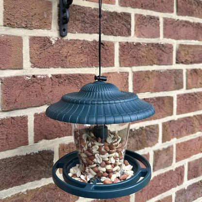 Mangeoire oiseaux VERT
