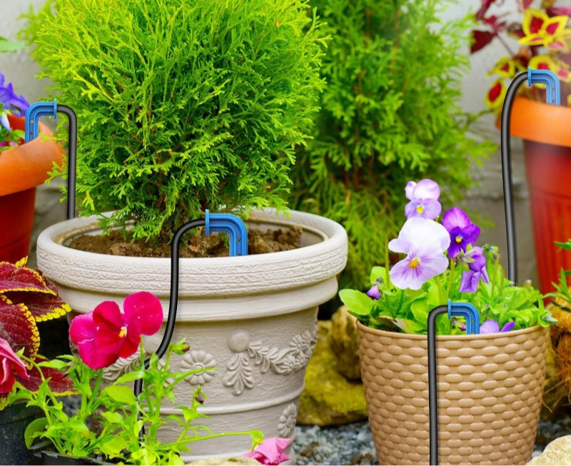 Système d'irrigation goutte-à-goutte solaire Trijzwa efficace installé dans des pots de fleurs pour irrigation automatique jardin