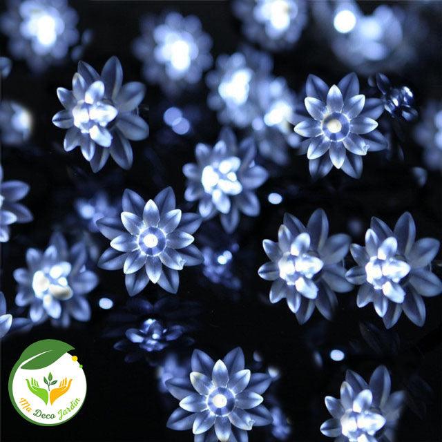 Guirlande Lumineuse Jardin LED avec Etoiles Eclatantes