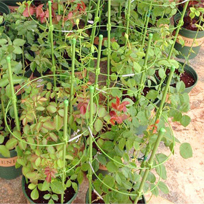 Cadre de support pour plante vert en métal, parfait pour soutenir la croissance des plantes en pot dans le jardin.