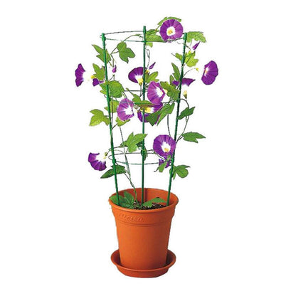 Cadre de support pour plante en métal vert, entouré de fleurs violettes sur fond de pot de terre cuite