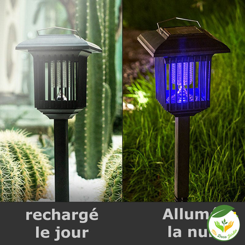 Lampe de jardin solaire anti-moustique avec lumière UV - Livraison Off –  la-boutique-de-la-forme