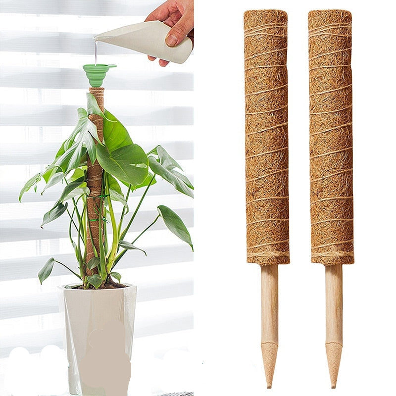 support-plante-50cm